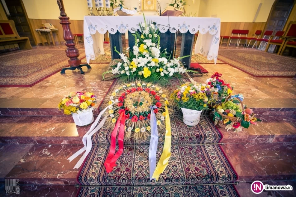 Dożynki Gminne 2015 w Dobrej - zdjęcie 8