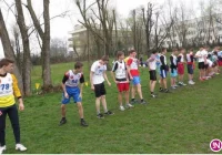 Biegi przełajowe: mistrzostwa powiatu - zdjęcie główne