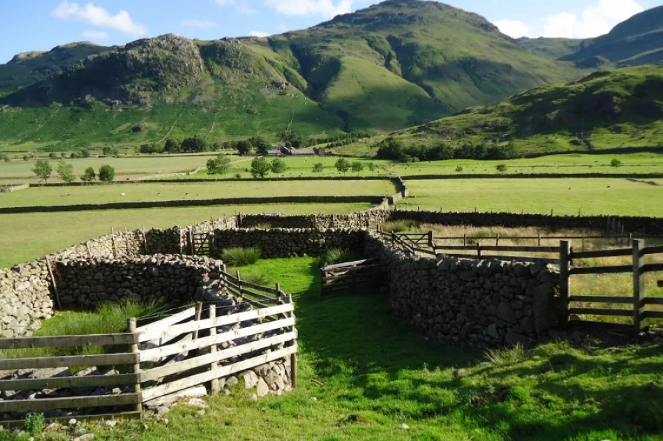Koło Grodzkie sądeckiego PTTK zdobyło najwyższy szczyt Wysp Brytyjskich! - zdjęcie 5