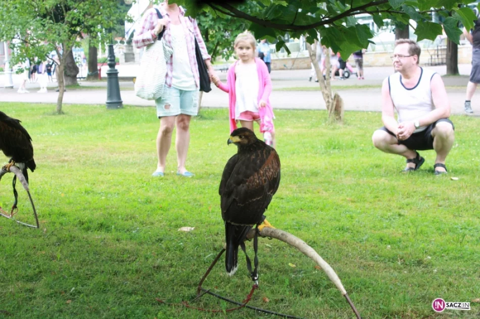 Klejnoty koronne na krynickim deptaku - zdjęcie 16