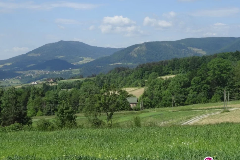 Odkryj Beskid Wyspowy - Lubogoszcz - zdjęcie 9