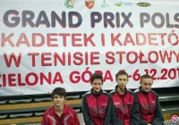 Grand Prix Polski: walczyli z najlepszymi w kraju - zdjęcie główne