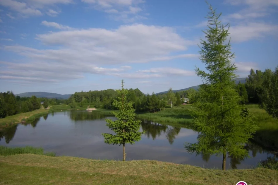 Głównym Szlakiem Sudeckim z Kołem Grodzkim - fotorelacja z wycieczki - zdjęcie 3