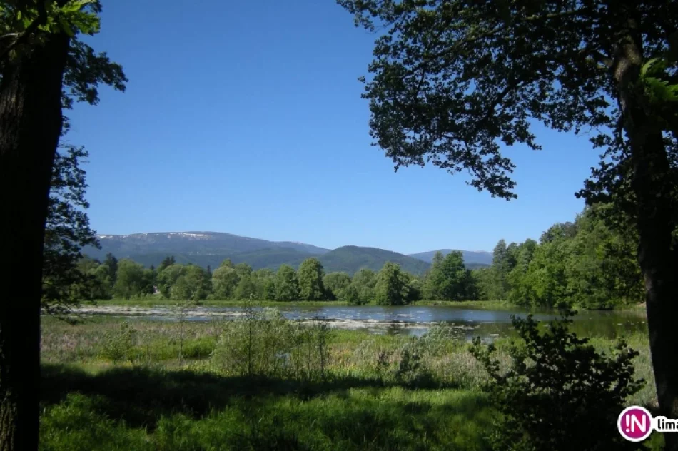 Głównym Szlakiem Sudeckim z Kołem Grodzkim - fotorelacja z wycieczki - zdjęcie 5