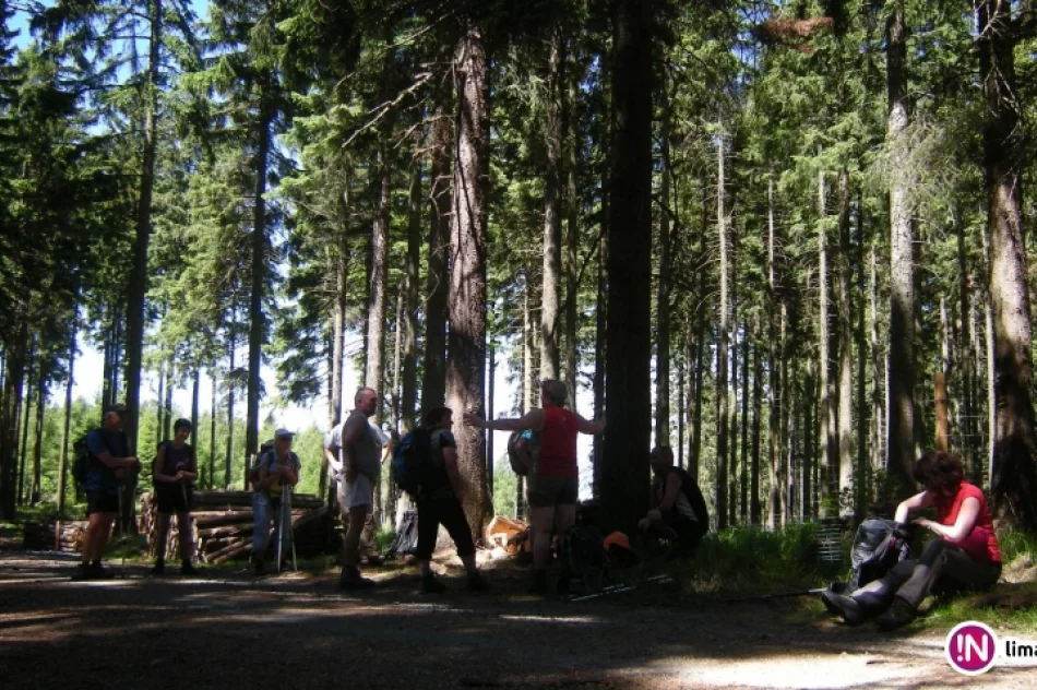 Głównym Szlakiem Sudeckim z Kołem Grodzkim - fotorelacja z wycieczki - zdjęcie 8