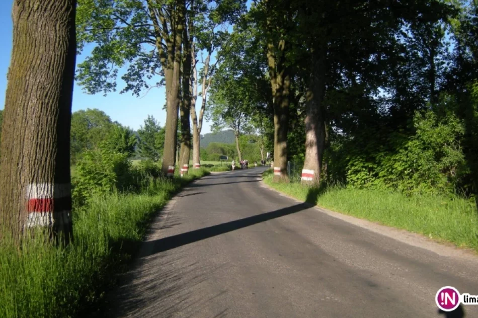 Głównym Szlakiem Sudeckim z Kołem Grodzkim - fotorelacja z wycieczki - zdjęcie 9