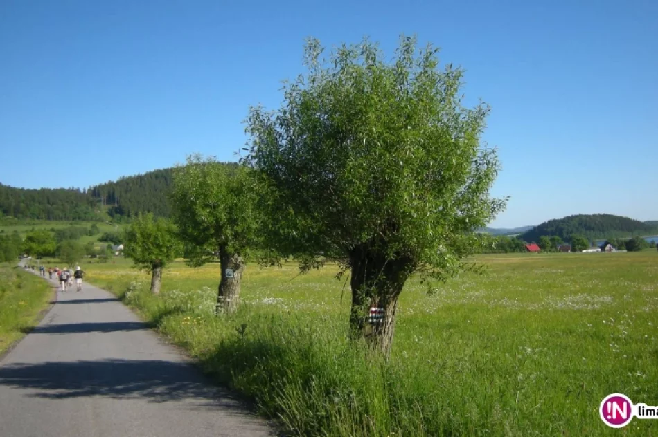 Głównym Szlakiem Sudeckim z Kołem Grodzkim - fotorelacja z wycieczki - zdjęcie 10