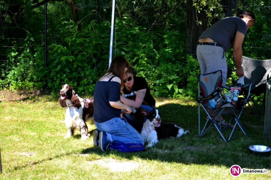 KRAJOWA WYSTAWA PSÓW RASOWYCH GRUPY VIII - NOWY SĄCZ - zdjęcie 3
