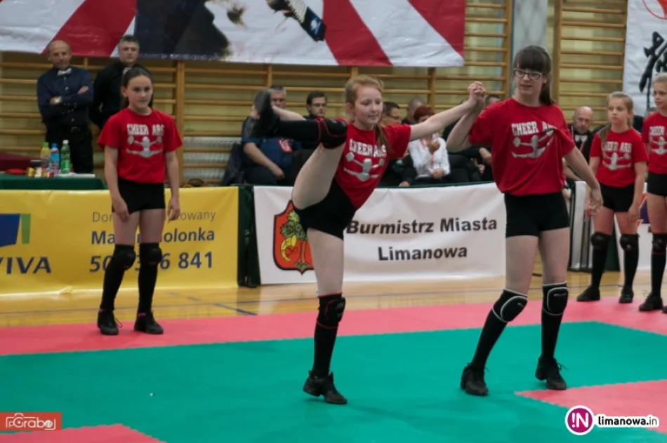 One World One Kyokushin – Limanowa 2015 - zdjęcie 2