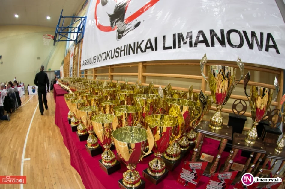 One World One Kyokushin – Limanowa 2015 - zdjęcie 15