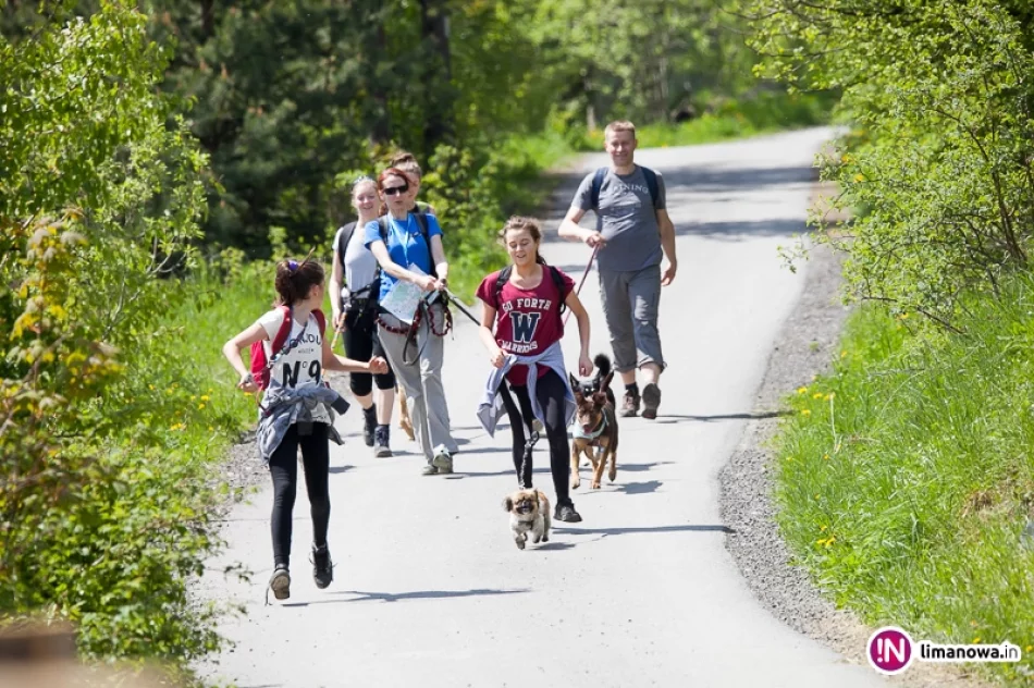 Frikaj na Mogielicy - zdjęcie 2