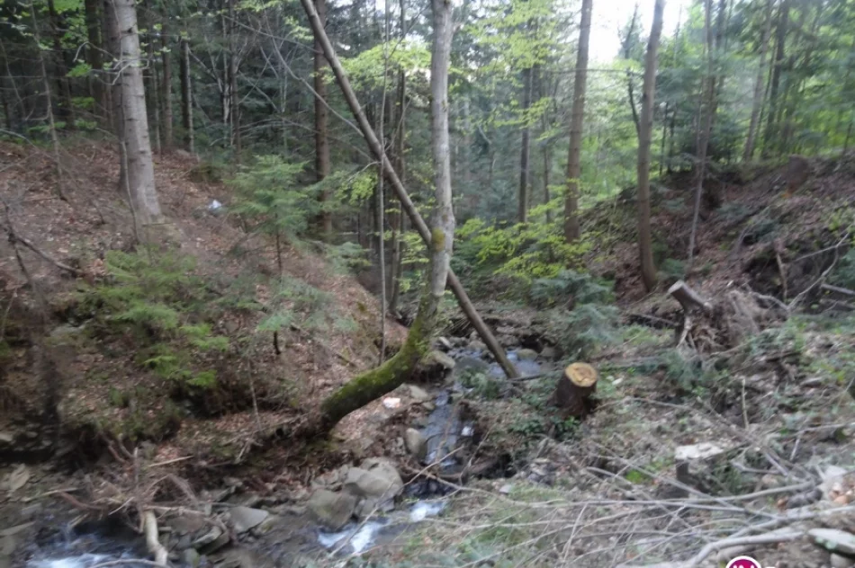 8 szczytów w jeden dzień - zdjęcie 5