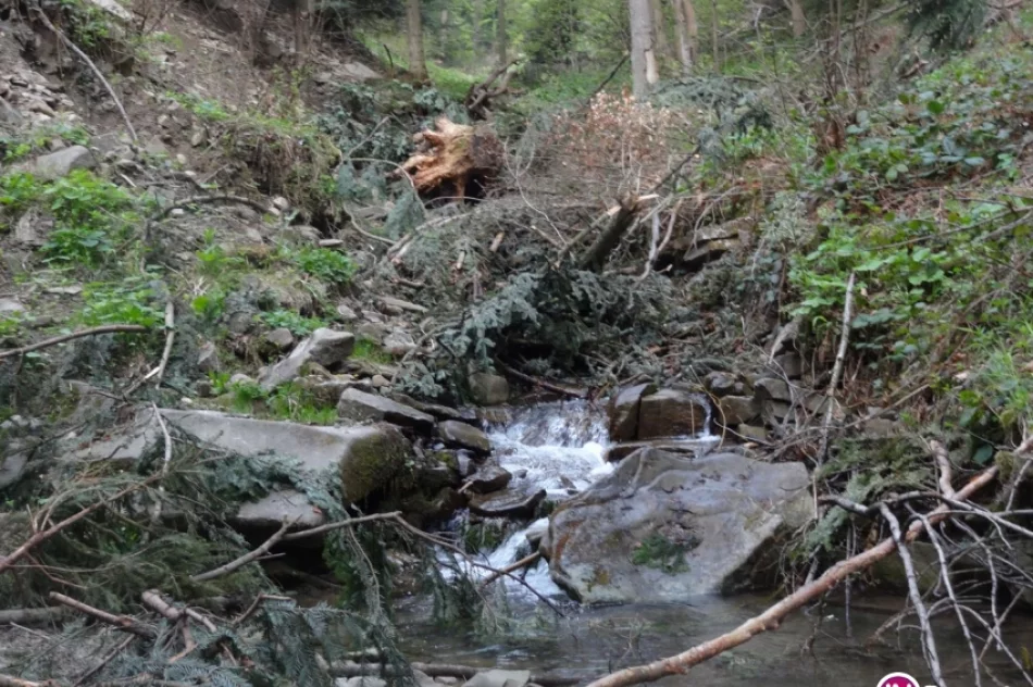 8 szczytów w jeden dzień - zdjęcie 11