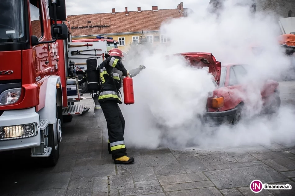 Wiedzą więcej i są bezpieczni - zdjęcie 8