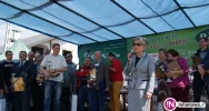 Ceny sadzonek spadły o 50 procent - zdjęcie 1
