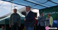 Ceny sadzonek spadły o 50 procent - zdjęcie 2