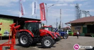 Ceny sadzonek spadły o 50 procent - zdjęcie 3