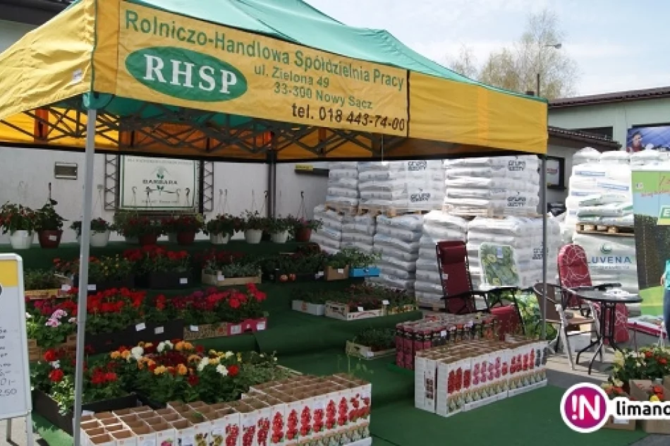 VIII Dni Otwarte "Wiosennie z RHSP" - zdjęcie 9