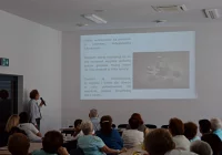 Stop manipulacji, nie kupuj na prezentacji - zdjęcie główne