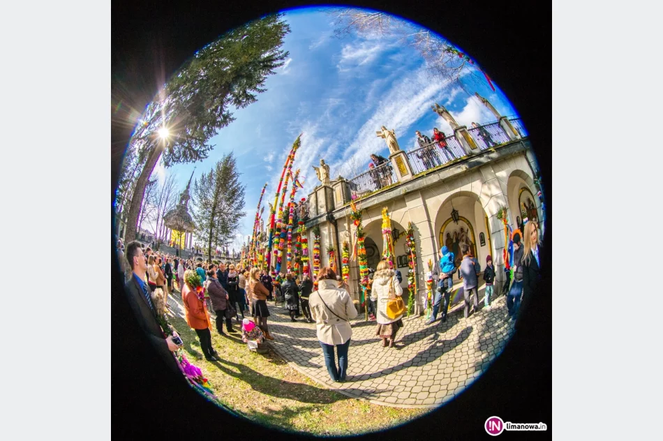 Niedziela Palmowa 2015 - Limanowa - zdjęcie 2