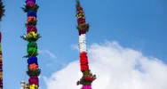 85 palm w konkursie - wszystkie zachwycały zdobieniami - zdjęcie 4