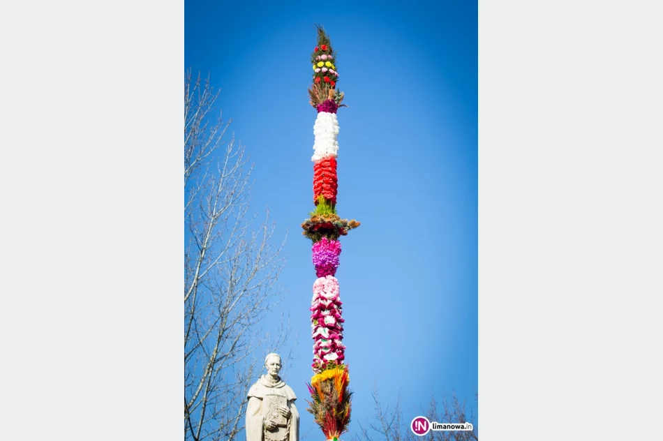 Niedziela Palmowa 2015 - Limanowa - zdjęcie 18