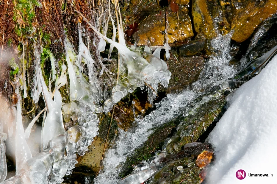 Trasy biegowe, polana Stumorgi i szczyt Mogielicy - zdjęcie 3