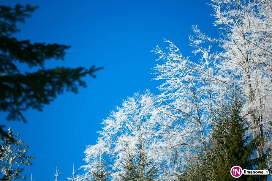 Trasy biegowe, polana Stumorgi i szczyt Mogielicy - zdjęcie 4