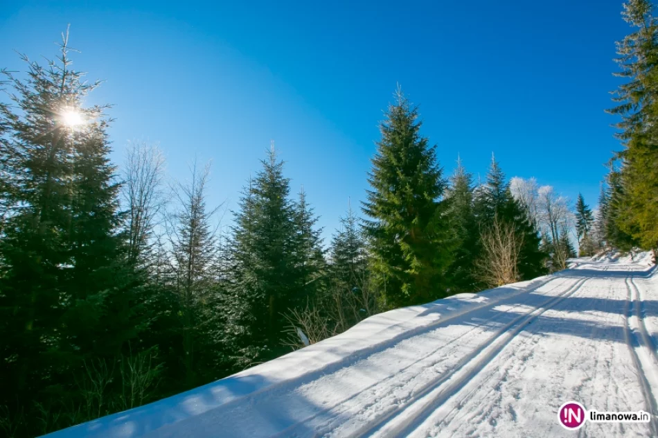 Trasy biegowe, polana Stumorgi i szczyt Mogielicy - zdjęcie 5