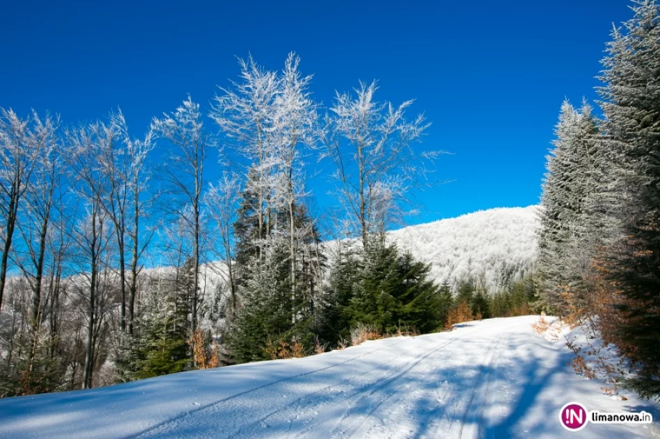 Trasy biegowe, polana Stumorgi i szczyt Mogielicy - zdjęcie 6