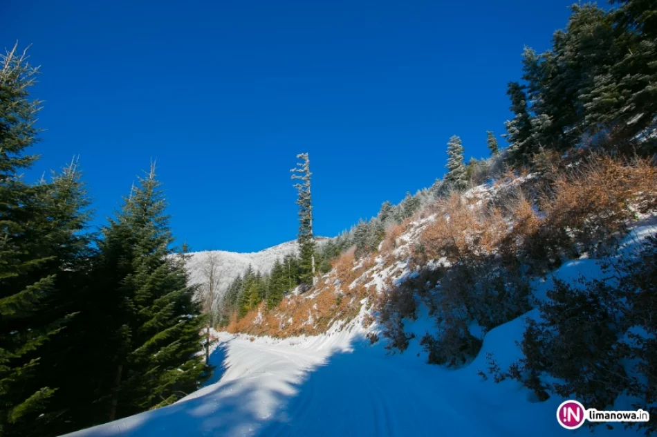 Trasy biegowe, polana Stumorgi i szczyt Mogielicy - zdjęcie 7