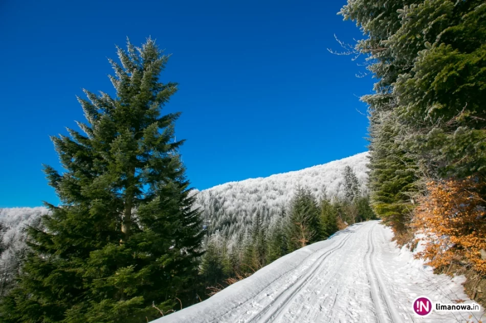 Trasy biegowe, polana Stumorgi i szczyt Mogielicy - zdjęcie 8