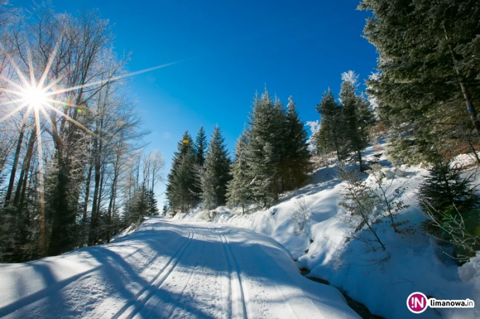 Trasy biegowe, polana Stumorgi i szczyt Mogielicy - zdjęcie 9