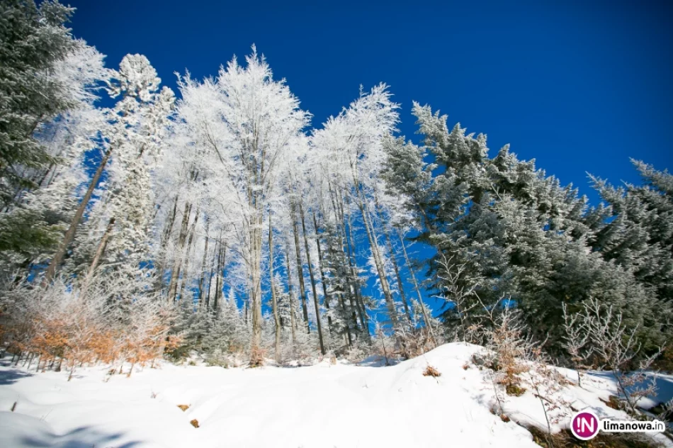 Trasy biegowe, polana Stumorgi i szczyt Mogielicy - zdjęcie 10