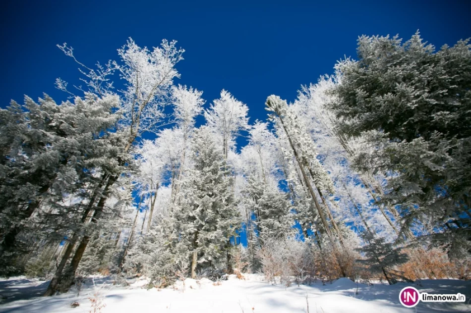 Trasy biegowe, polana Stumorgi i szczyt Mogielicy - zdjęcie 11
