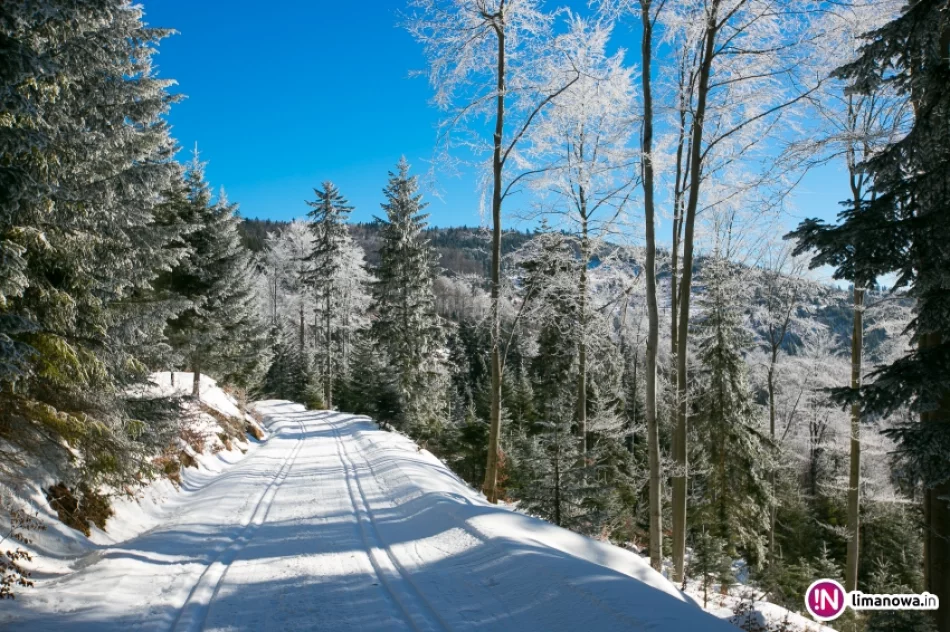 Trasy biegowe, polana Stumorgi i szczyt Mogielicy - zdjęcie 12