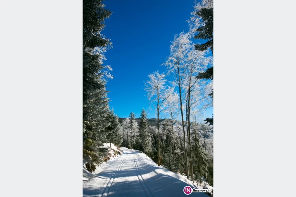 Trasy biegowe, polana Stumorgi i szczyt Mogielicy - zdjęcie 13