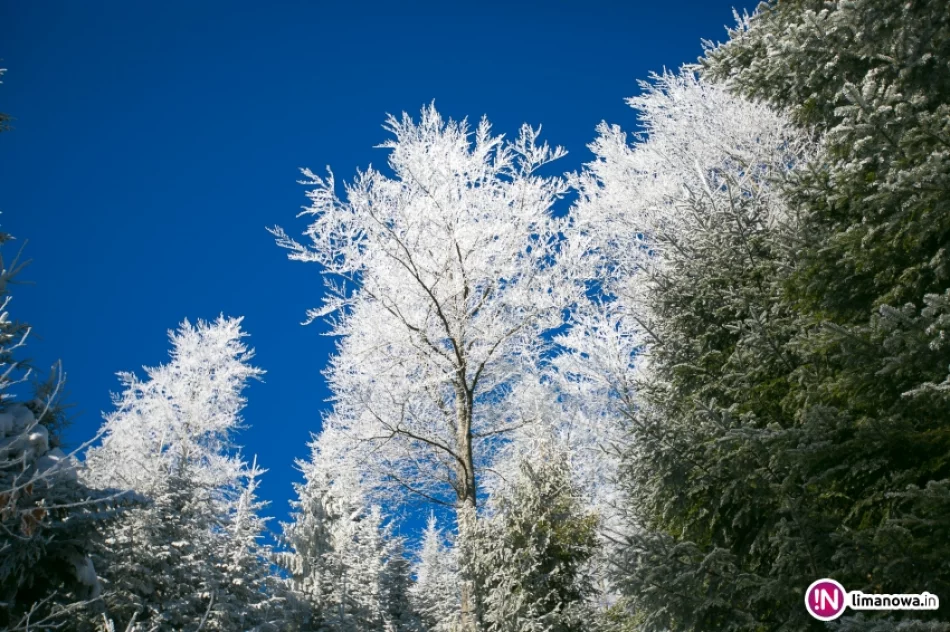 Trasy biegowe, polana Stumorgi i szczyt Mogielicy - zdjęcie 14