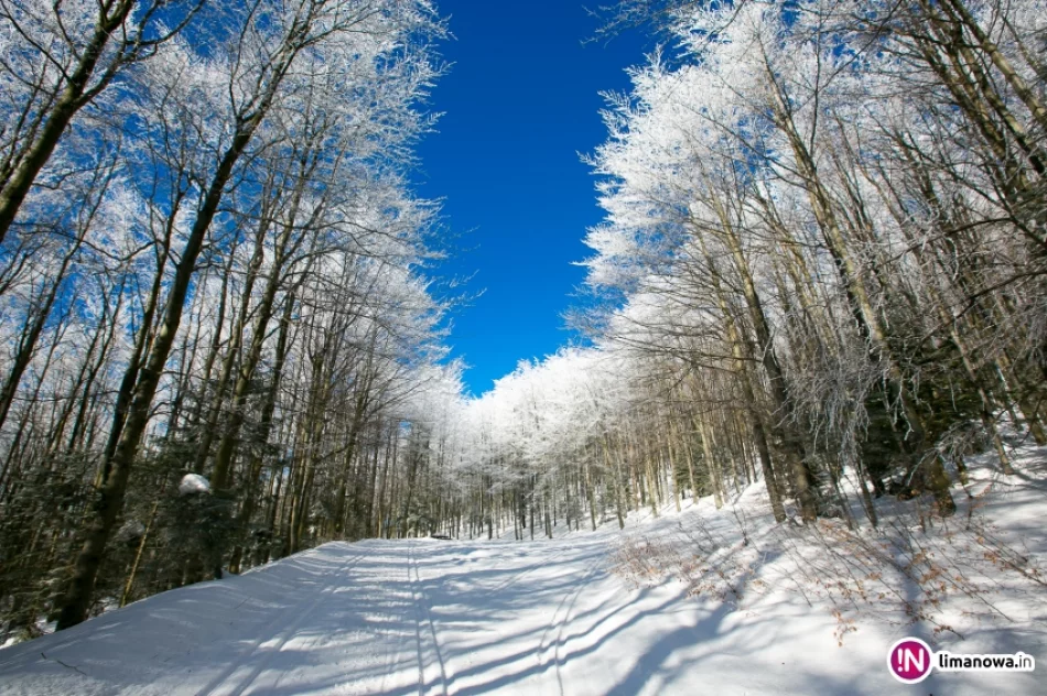 Trasy biegowe, polana Stumorgi i szczyt Mogielicy - zdjęcie 16