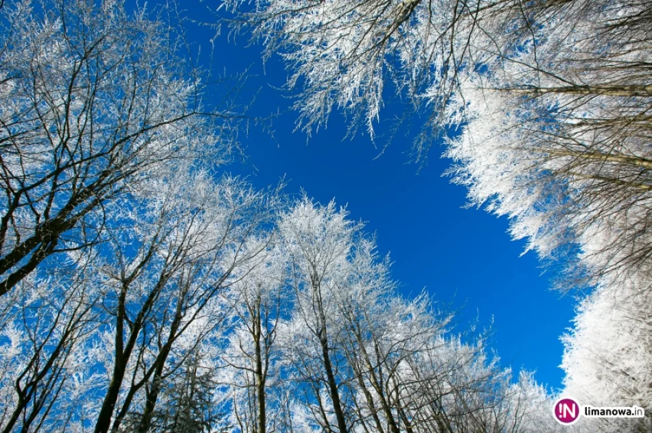 Trasy biegowe, polana Stumorgi i szczyt Mogielicy - zdjęcie 17