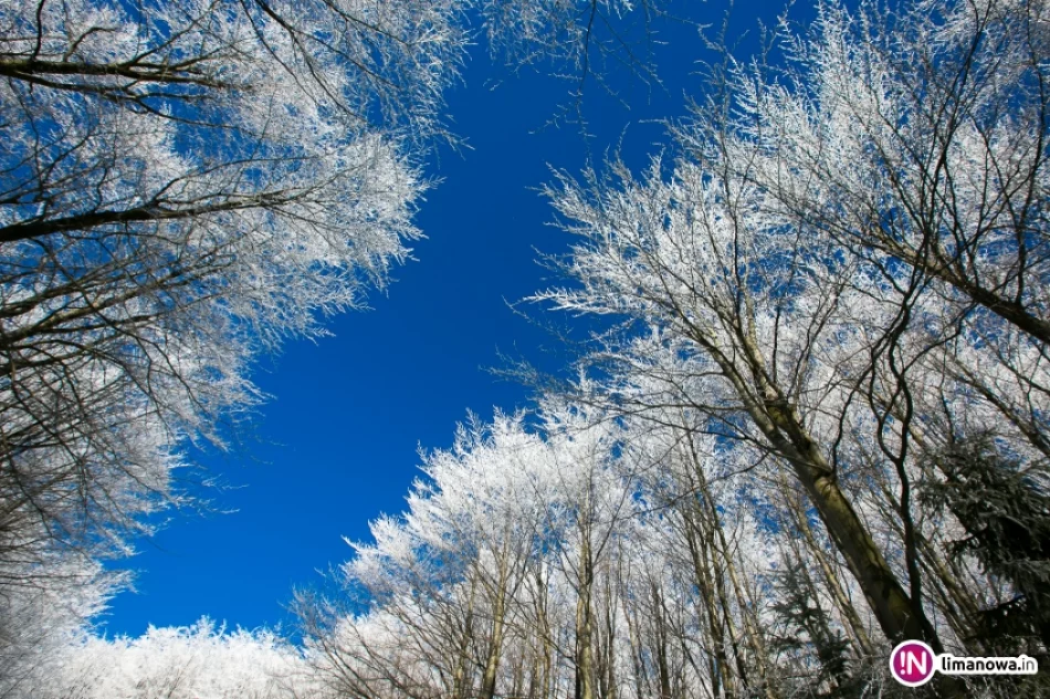 Trasy biegowe, polana Stumorgi i szczyt Mogielicy - zdjęcie 18