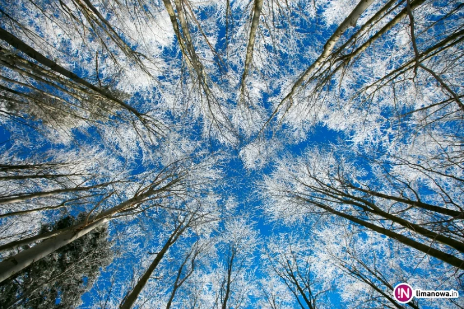 Trasy biegowe, polana Stumorgi i szczyt Mogielicy - zdjęcie 19