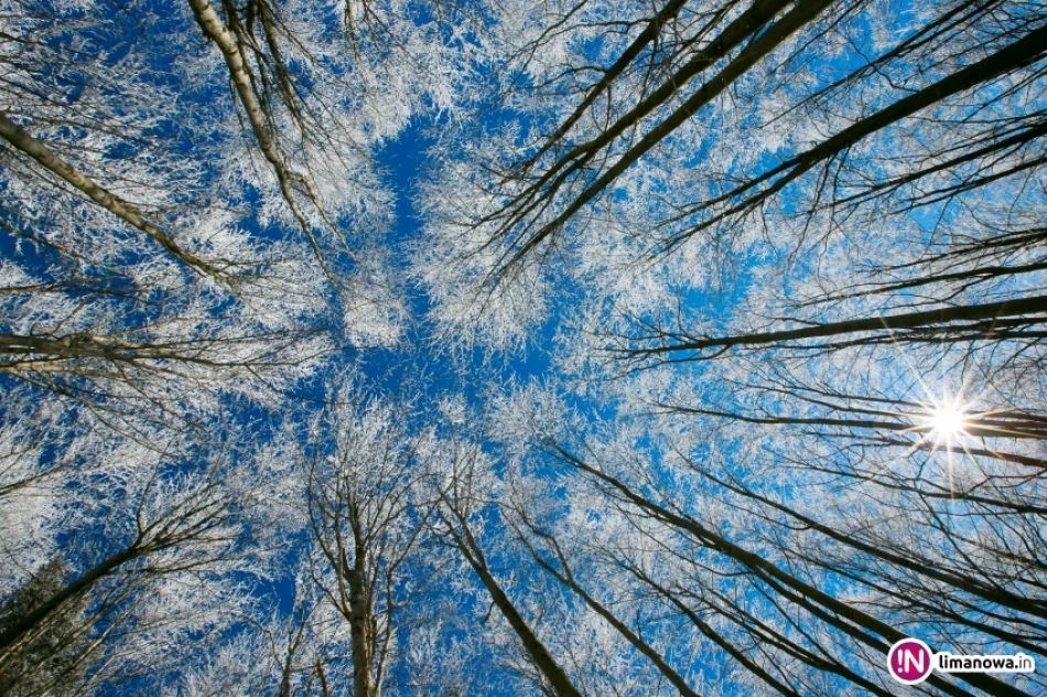 Trasy biegowe, polana Stumorgi i szczyt Mogielicy - zdjęcie 20