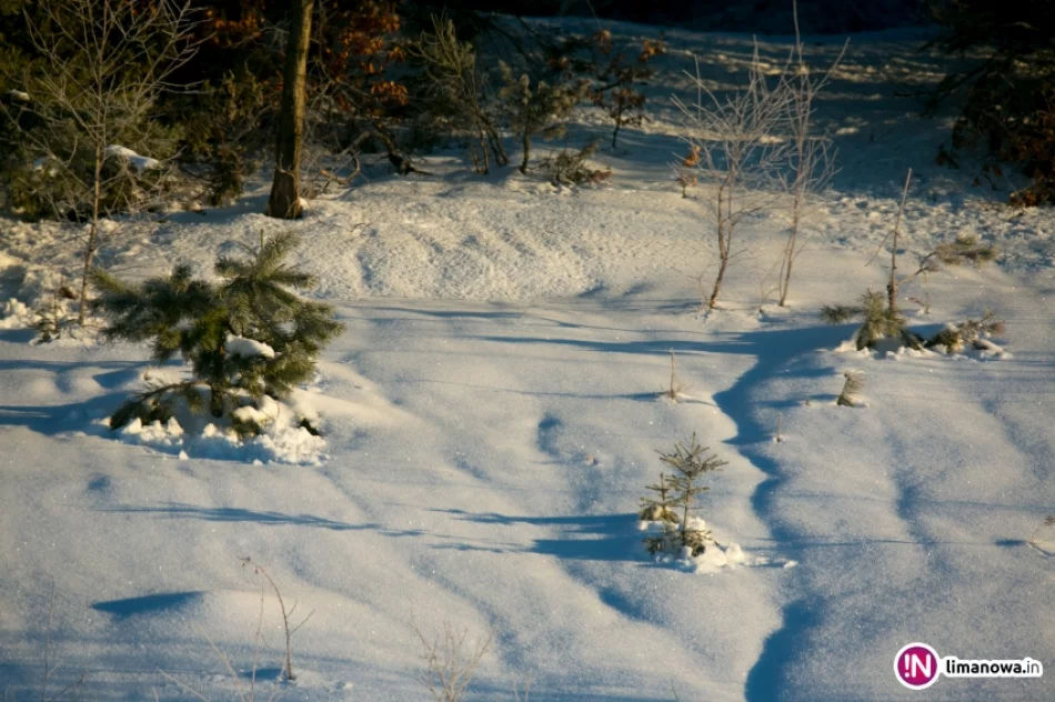 Słońce zimą na Mogielicy - zdjęcie 5