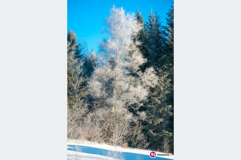 Słońce zimą na Mogielicy - zdjęcie 6