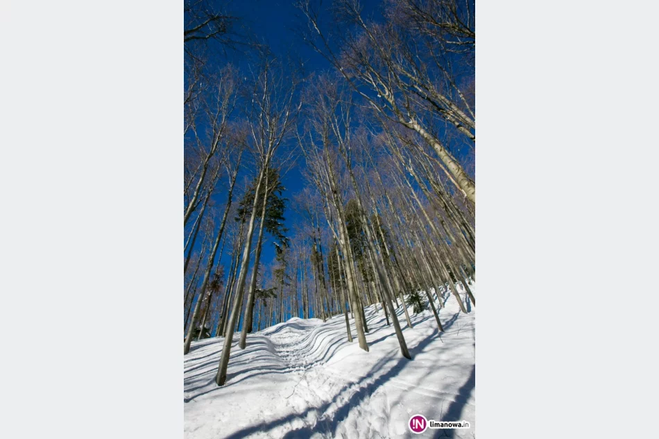 Słońce zimą na Mogielicy - zdjęcie 7