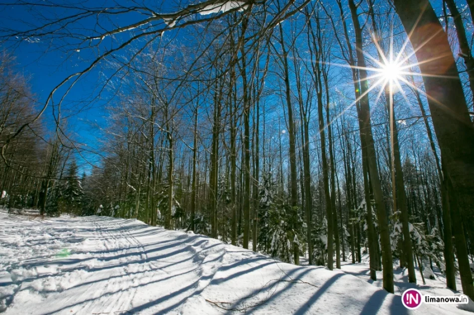 Słońce zimą na Mogielicy - zdjęcie 8