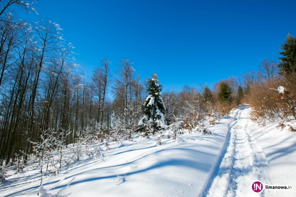 Słońce zimą na Mogielicy - zdjęcie 11