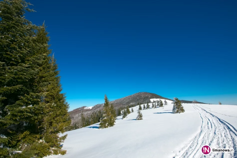 Słońce zimą na Mogielicy - zdjęcie 13