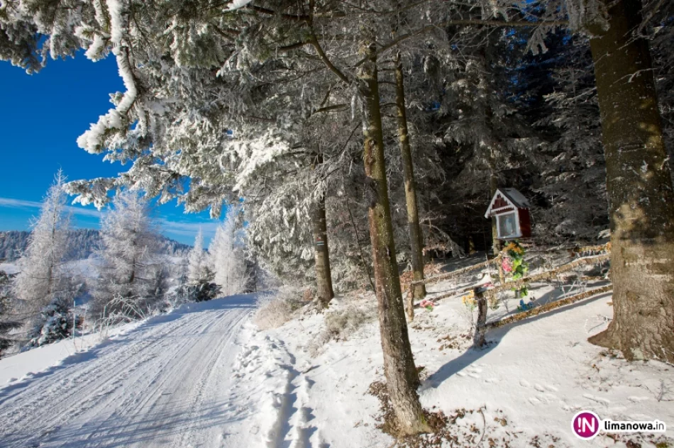 Zimowy poranek na Mogielicy - zdjęcie 2
